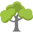 Sacramento Tree Trimming Service