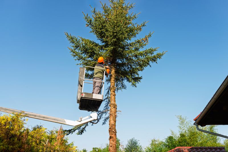 Emergency Tree Trimming