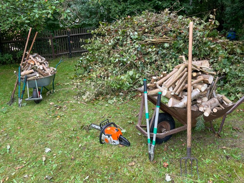 Yard Debris Cleanup
