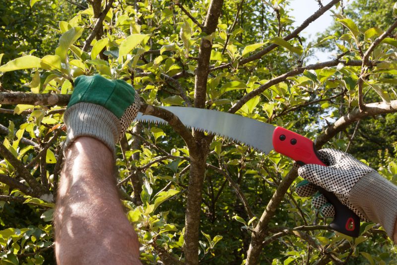 Structural Pruning
